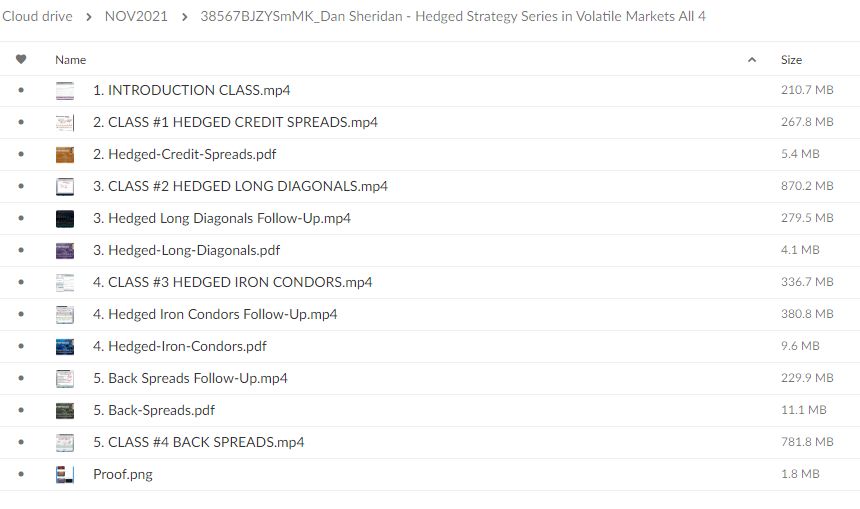 Hedged Strategy Series in Volatile Markets All 4 By Dan Sheridan