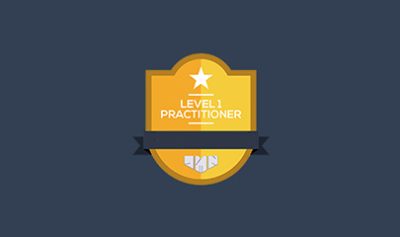 AMN Practitioner – Level 1 Certification