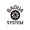 Bagua Coaching Certification By Carl Stevens