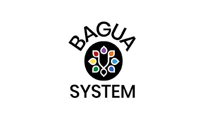 Bagua Coaching Certification By Carl Stevens