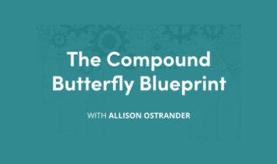 Compound Butterfly Blueprint (Elite Package) By Allison Ostrander - Simpler Trading