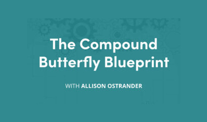 Compound Butterfly Blueprint (Elite Package) By Allison Ostrander - Simpler Trading