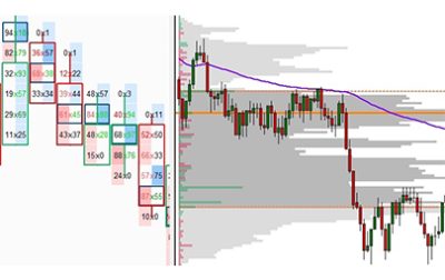 Day Trading with Volume Profile and Orderflow By Price Action Volume Trader