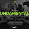 MovNat Level 1 Fundamentals By Danny Clark And Stefano Tripney - MovNat