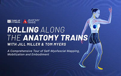 Rolling Along the Anatomy Trains