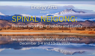 Spinal Neigong - The Inner Workings of Stability and Fluidity 2022 By Bruce Frantzis - Energy Arts _ 8