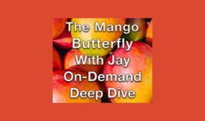 The Mango Butterfly Deep Dive 2023 By Jay Bailey - Sheridan Options Mentoring