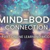 The Mind - Body Connection