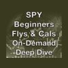 The SPY Beginners Flys - Calendars Deep Dive 2023 By Dan Sheridan - Sheridan Options Mentoring