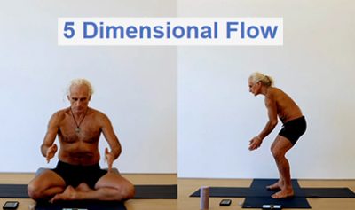 5 Dimensional Flow Course By Simon Borg-Olivier