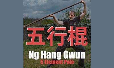 5 Element Pole By Chow Gar Tong Long