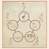 Five Animal Play Qi Gong Online Learning Program