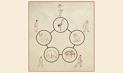 Five Animal Play Qi Gong Online Learning Program