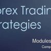 Forex Trading Strategies Modules 1-3 Complete Set By Blake Young - Shadow Trader