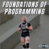 Foundations of Programming By Reactive Training Systems