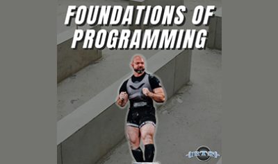 Foundations of Programming By Reactive Training Systems