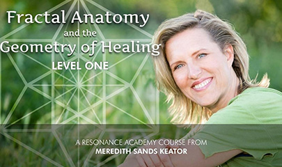 Fractal Anatomy & The Geometry of Healing - Level 1 By Meredith Sands Keator