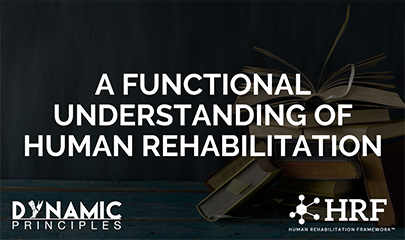 Functional Understanding of Human Rehabilitation By Leonard Van Gelder