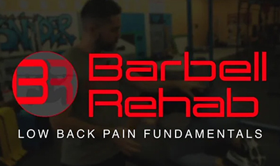 Low Back Pain Fundamentals By Michael Mash