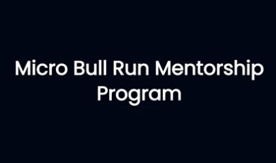 Micro Bull Run Mentorship Program