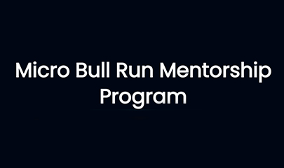 Micro Bull Run Mentorship Program