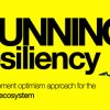 Running Resiliency - the movement optimism approach to tending the runner's ecosystem By Greg Lehman