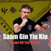 Shake Off The Bridge – Saam Gin Yiu Kiu By Chow Gar Tong Long