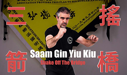 Shake Off The Bridge – Saam Gin Yiu Kiu By Chow Gar Tong Long