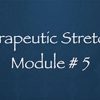 Thai Yoga Bodywork Certification Training - Therapeutic Stretches 1 - Module #5 By Michael Sitzer