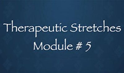 Thai Yoga Bodywork Certification Training - Therapeutic Stretches 1 - Module #5 By Michael Sitzer