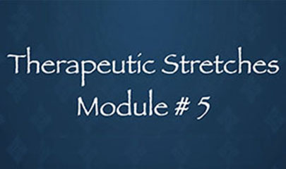 Thai Yoga Bodywork Certification Training - Therapeutic Stretches 1 - Module #5 By Michael Sitzer