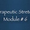 Thai Yoga Bodywork Certification Training - Therapeutic Stretches 2 - Module #6 By Michael Sitzer