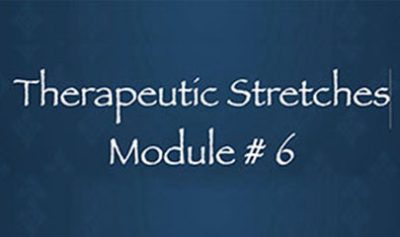 Thai Yoga Bodywork Certification Training - Therapeutic Stretches 2 - Module #6 By Michael Sitzer