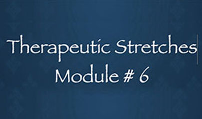 Thai Yoga Bodywork Certification Training - Therapeutic Stretches 2 - Module #6 By Michael Sitzer