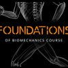 The Foundations of Biomechanics Course By Alex Effer - Resilient Edu