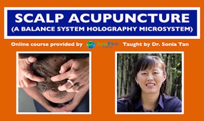 The SCALP Acupuncture Course By Sonia Tan