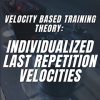 Velocity Based Training Theory