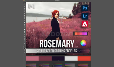 3D-LUT-Profile-Rosemary-by-Earth-Oliver-and-Sef-McCullough-free-download