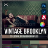 3D-LUT-Profile-Vintage-Brooklyn-by-Earth-Oliver-and-Sef-McCullough-free-download