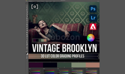 3D-LUT-Profile-Vintage-Brooklyn-by-Earth-Oliver-and-Sef-McCullough-free-download