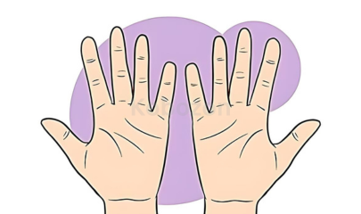 Things-to-Say-After-You-Say-Hello---Using-Palmistry-to-Learn-Seduction-free-download