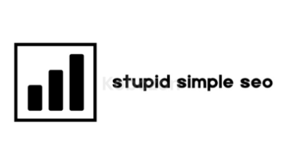 Stupid-Simple-SEO-2023-by-Mike-Pearson-free-download