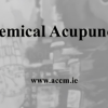 Alchemical-Acupuncture-by-Jeffrey-Yuen-free-download