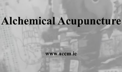 Alchemical-Acupuncture-by-Jeffrey-Yuen-free-download