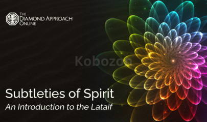 LOB-Subtleties-of-Spirit:-An-Introduction-to-the-Lataif-LB-ITL-EV-By-Diamond-Approach-free-download