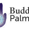 The-Buddha-Palm-Online-Course-By-Lee-Holden-free-download