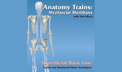 Technique-Series:-Superficial-Back-Line-By-Tom-Myers-free-download