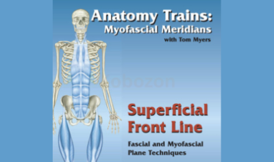 Technique-Series:-Superficial-Front-Line-By-Tom-Myers-free-download