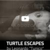 Turtle-Escapes-By-Leonardo-"Tunico"-free-download