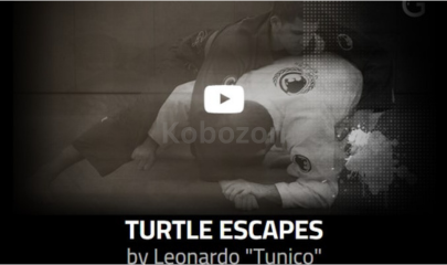 Turtle-Escapes-By-Leonardo-"Tunico"-free-download